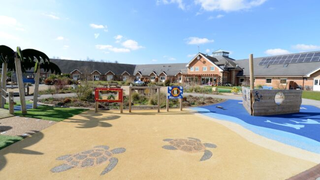 Bluebell-40stories-blog-header-2